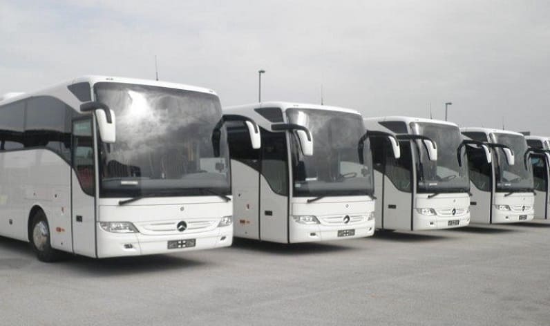 Malta region: Bus company in Marsaskala (Wied il-Għajn) in Marsaskala (Wied il-Għajn) and Malta